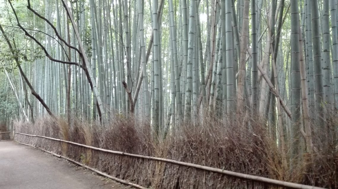 Kyōto – Arashiyama